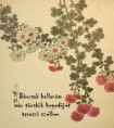 /album/termeszet-haikuk/tavaszi-szelben-jpg/